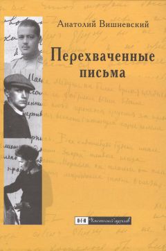 Читайте книги онлайн на Bookidrom.ru! Бесплатные книги в одном клике Анатолий Вишневский - Перехваченные письма. Роман-коллаж