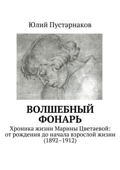 Читайте книги онлайн на Bookidrom.ru! Бесплатные книги в одном клике Юлий Пустарнаков - Волшебный фонарь. Хроника жизни Марины Цветаевой: от рождения до начала взрослой жизни (1892–1912)