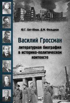 Читайте книги онлайн на Bookidrom.ru! Бесплатные книги в одном клике Юрий Бит-Юнан - Василий Гроссман. Литературная биография в историко-политическом контексте