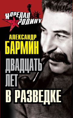 Читайте книги онлайн на Bookidrom.ru! Бесплатные книги в одном клике Александр Бармин - Двадцать лет в разведке