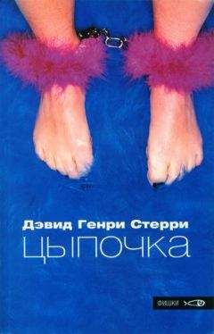 Читайте книги онлайн на Bookidrom.ru! Бесплатные книги в одном клике Дэвид Стерри - Цыпочка