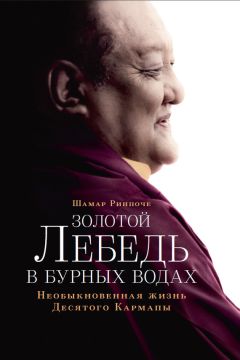 Читайте книги онлайн на Bookidrom.ru! Бесплатные книги в одном клике Шамар Ринпоче - Золотой лебедь в бурных водах. Необыкновенная жизнь Десятого Кармапы