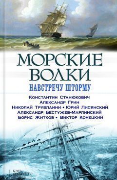 Читайте книги онлайн на Bookidrom.ru! Бесплатные книги в одном клике Александр Грин - Морские волки. Навстречу шторму (сборник)