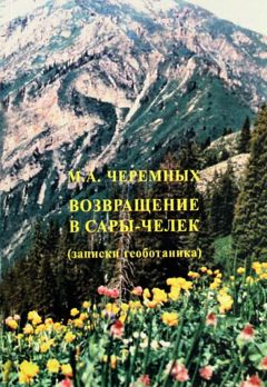 Читайте книги онлайн на Bookidrom.ru! Бесплатные книги в одном клике Михаил Черемных - Возвращение в Сары-Черек