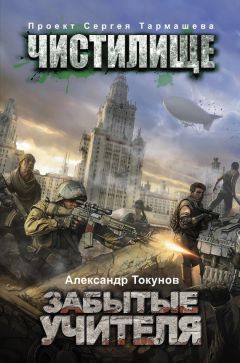 Читайте книги онлайн на Bookidrom.ru! Бесплатные книги в одном клике Александр Токунов - Чистилище. Забытые учителя