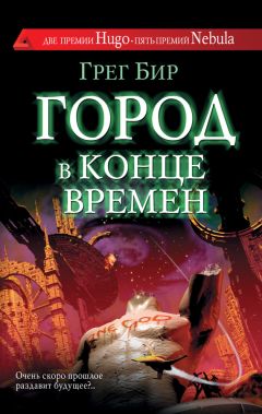 Читайте книги онлайн на Bookidrom.ru! Бесплатные книги в одном клике Грег Бир - Город в конце времен