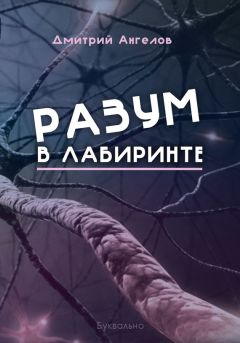 Читайте книги онлайн на Bookidrom.ru! Бесплатные книги в одном клике Дмитрий Ангелов - Разум в лабиринте