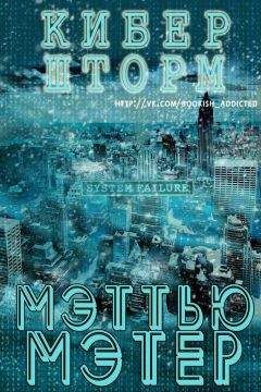 Читайте книги онлайн на Bookidrom.ru! Бесплатные книги в одном клике Мэттью Мэтер - КиберШторм