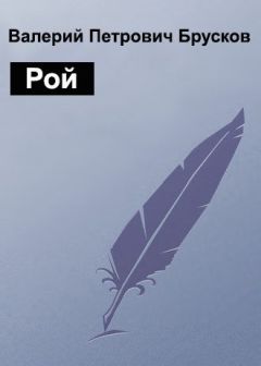 Читайте книги онлайн на Bookidrom.ru! Бесплатные книги в одном клике Валерий Брусков - Рой