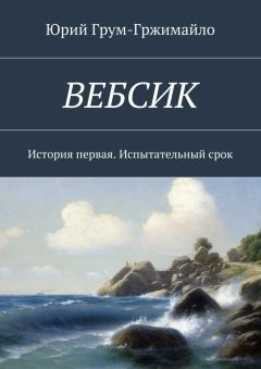 Читайте книги онлайн на Bookidrom.ru! Бесплатные книги в одном клике Юрий Грум-Гржимайло - Вебсик. История первая. Испытательный срок