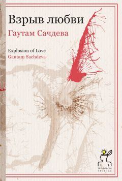 Читайте книги онлайн на Bookidrom.ru! Бесплатные книги в одном клике Гаутам Сачдева - Взрыв любви