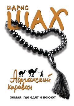 Читайте книги онлайн на Bookidrom.ru! Бесплатные книги в одном клике Идрис Шах - Афганский караван. Земля, где едят и воюют