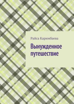 Читайте книги онлайн на Bookidrom.ru! Бесплатные книги в одном клике Райса Каримбаева - Вынужденное путешествие
