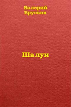 Читайте книги онлайн на Bookidrom.ru! Бесплатные книги в одном клике Валерий Брусков - Шалун