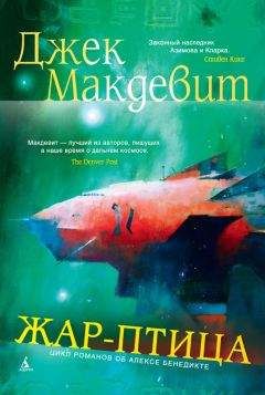 Читайте книги онлайн на Bookidrom.ru! Бесплатные книги в одном клике Джек Макдевит - Жар-птица