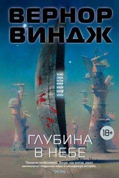 Читайте книги онлайн на Bookidrom.ru! Бесплатные книги в одном клике Вернор Виндж - Глубина в небе (авторский сборник)