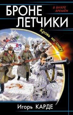 Читайте книги онлайн на Bookidrom.ru! Бесплатные книги в одном клике Игорь Карде - Бронелетчики. Кровь на снегу