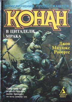 Читайте книги онлайн на Bookidrom.ru! Бесплатные книги в одном клике Джон Робертс - Конан в цитадели мрака