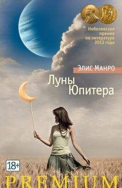 Читайте книги онлайн на Bookidrom.ru! Бесплатные книги в одном клике Элис Манро - Луны Юпитера (сборник)