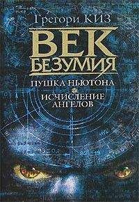 Читайте книги онлайн на Bookidrom.ru! Бесплатные книги в одном клике Грегори Киз - Пушка Ньютона. Исчисление ангелов