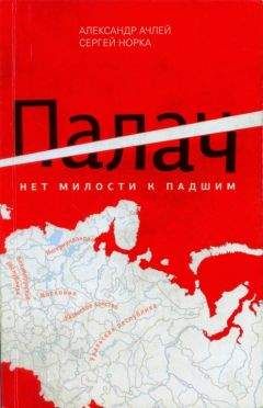 Читайте книги онлайн на Bookidrom.ru! Бесплатные книги в одном клике Александр Ачлей - Палач. Нет милости к падшим