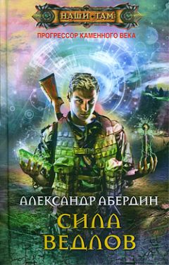 Читайте книги онлайн на Bookidrom.ru! Бесплатные книги в одном клике Александр Абердин - Сила ведлов