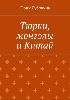 Читайте книги онлайн на Bookidrom.ru! Бесплатные книги в одном клике Юрий Лубочкин - Тюрки, монголы и Китай