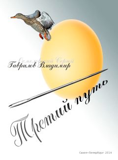 Читайте книги онлайн на Bookidrom.ru! Бесплатные книги в одном клике Владимир Гаврилов - Третий путь