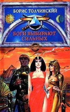 Читайте книги онлайн на Bookidrom.ru! Бесплатные книги в одном клике Борис Толчинский - Боги выбирают сильных