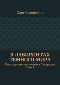 Читайте книги онлайн на Bookidrom.ru! Бесплатные книги в одном клике Олег Северюхин - В лабиринтах тёмного мира