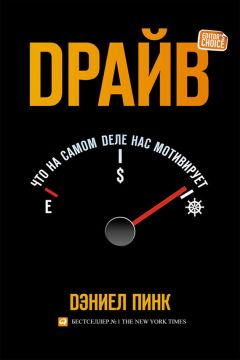 Читайте книги онлайн на Bookidrom.ru! Бесплатные книги в одном клике Дэниель Пинк - Драйв: Что на самом деле нас мотивирует