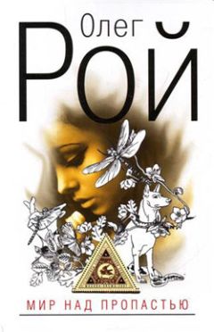 Читайте книги онлайн на Bookidrom.ru! Бесплатные книги в одном клике Олег Рой - Мир над пропастью