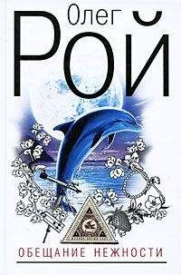 Читайте книги онлайн на Bookidrom.ru! Бесплатные книги в одном клике Олег Рой - Обещание нежности