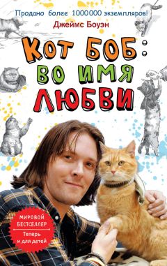Читайте книги онлайн на Bookidrom.ru! Бесплатные книги в одном клике Джеймс Боуэн - Кот Боб: во имя любви