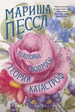 Читайте книги онлайн на Bookidrom.ru! Бесплатные книги в одном клике Мариша Пессл - Некоторые вопросы теории катастроф