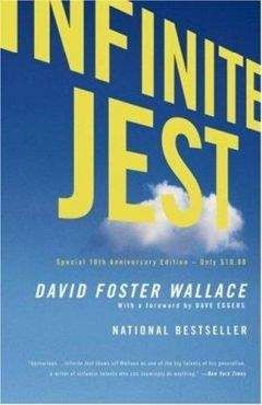 Читайте книги онлайн на Bookidrom.ru! Бесплатные книги в одном клике David Wallace - Infinite jest