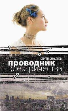 Читайте книги онлайн на Bookidrom.ru! Бесплатные книги в одном клике Сергей Самсонов - Проводник электричества