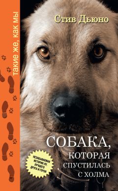 Стив Дьюно - Собака, которая спустилась с холма. Незабываемая история Лу, лучшего друга и героя