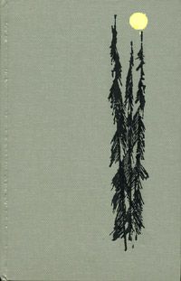 Читайте книги онлайн на Bookidrom.ru! Бесплатные книги в одном клике Василий Аксенов - Папа, сложи!
