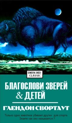 Читайте книги онлайн на Bookidrom.ru! Бесплатные книги в одном клике Свортаут Глендон - Благослови зверей и детей