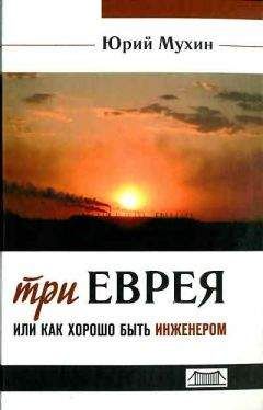 Читайте книги онлайн на Bookidrom.ru! Бесплатные книги в одном клике Юрий Мухин - Три еврея