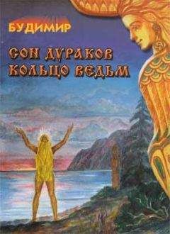 Читайте книги онлайн на Bookidrom.ru! Бесплатные книги в одном клике Будимир - Сон дураков