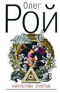 Читайте книги онлайн на Bookidrom.ru! Бесплатные книги в одном клике Олег Рой. - Амальгама счастья
