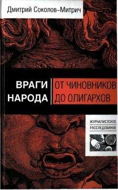 Читайте книги онлайн на Bookidrom.ru! Бесплатные книги в одном клике Дмитрий Соколов-Митрич - Враги народа: от чиновников до олигархов