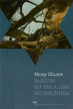 Читайте книги онлайн на Bookidrom.ru! Бесплатные книги в одном клике Меир Шалев - Вышли из леса две медведицы