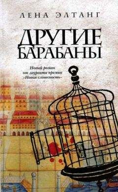 Читайте книги онлайн на Bookidrom.ru! Бесплатные книги в одном клике Лена Элтанг - Другие барабаны