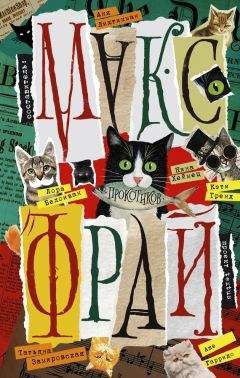 Читайте книги онлайн на Bookidrom.ru! Бесплатные книги в одном клике Екатерина Перченкова - Прокотиков (сборник)