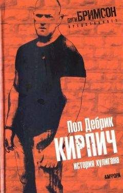 Читайте книги онлайн на Bookidrom.ru! Бесплатные книги в одном клике Пол Дебрик - Кирпич. История хулигана