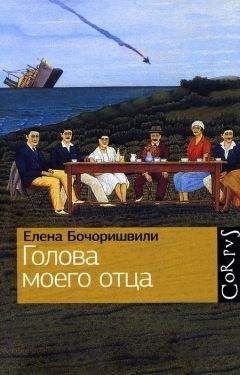 Читайте книги онлайн на Bookidrom.ru! Бесплатные книги в одном клике Елена Бочоришвили - Голова моего отца