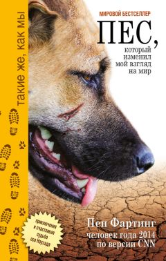 Читайте книги онлайн на Bookidrom.ru! Бесплатные книги в одном клике Пен Фартинг - Пёс, который изменил мой взгляд на мир. Приключения и счастливая судьба пса Наузада